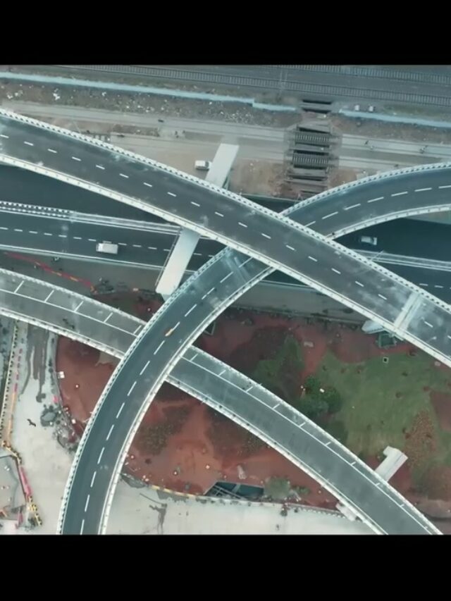 Atal Setu Bridge: અટલ સેતુ બ્રિજ ભારત ના ઇતિહાસ નો  સૌથી લાંબો દરિયાઈ પુલ